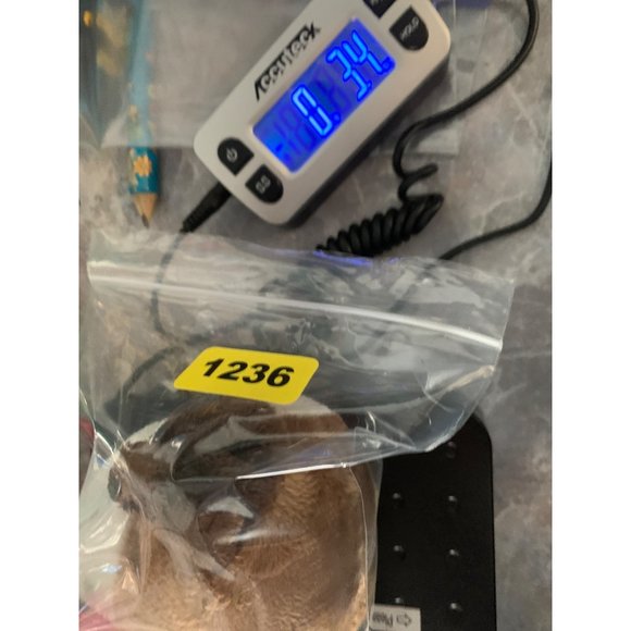 Walmart 7 Inch Terrier Bulldog Puppy XOXO Heart Red Sheer Bow Hearts Plush Stuff - Picture 9 of 9